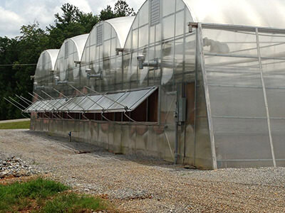 Gutter Connected Greenhouses with Down Spouts